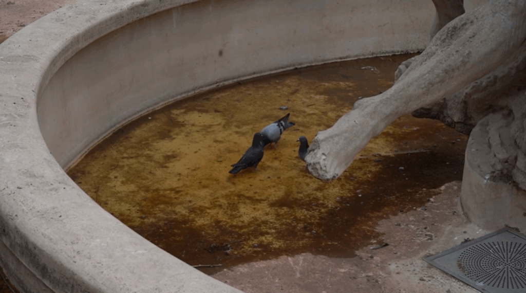 Roma contraddizione aperta-cortometraggio
