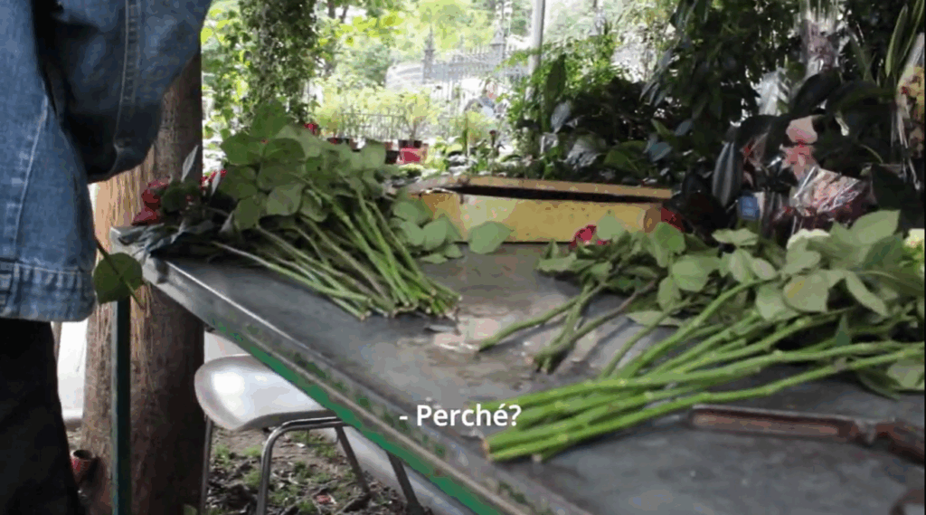 Should I stay or should I go-cortometraggio